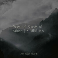 Thumbnail for the Meditation Spa - Essential Sounds of Nature | Mindfulness link, provided by host site