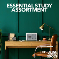 Thumbnail for the Studying Music Group - Essential Study Assortment link, provided by host site