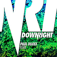 Thumbnail for the Paul Dluxx - Essex link, provided by host site