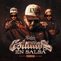 Thumbnail for the Saiah - Estamos en Salsa link, provided by host site