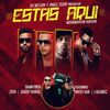 Thumbnail for the DamnFrog - Estás Aquí (Moombahton Version) link, provided by host site