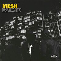Thumbnail for the Mesh - Estate link, provided by host site
