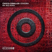 Thumbnail for the Chus - Esvedra (Mr. Bizz Remix) link, provided by host site