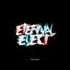 Thumbnail for the Frederik Mooij - Eternal Elect link, provided by host site