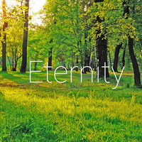 Thumbnail for the Pathogenix - Eternity link, provided by host site