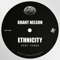 Thumbnail for the Grant Nelson - Ethnicity, Pt. 3 link, provided by host site