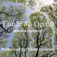 Thumbnail for the Matteo Carcassi - Etude No.3 Op.60 (Carcassi) link, provided by host site