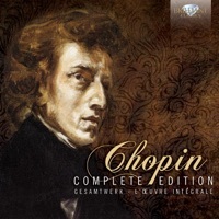 Thumbnail for the Alessandro Deljavan - Études, Op. 10: IV. Etude in C-Sharp Minor. Presto link, provided by host site