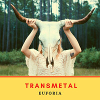 Thumbnail for the Transmetal - Euforia link, provided by host site