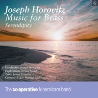 Thumbnail for the Joseph Horovitz - Euphonium Concerto, Mvt. 2. Lento link, provided by host site
