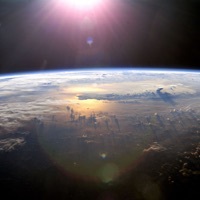 Thumbnail for the Devo D - Euphoria link, provided by host site