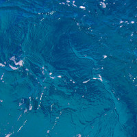 Thumbnail for the Chap - Euphoria link, provided by host site