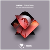 Thumbnail for the Paipy - Euphoria (Pierre Pienaar Remix) link, provided by host site