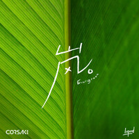 Thumbnail for the CORSAK - 岚 Evergreen link, provided by host site