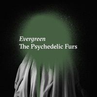Thumbnail for the Psychedelic Furs - Evergreen link, provided by host site