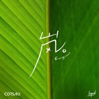 Thumbnail for the CORSAK - 岚 Evergreen link, provided by host site