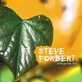 Thumbnail for the Steve Forbert - Evergreen Boy link, provided by host site