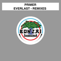 Thumbnail for the Primer - Everlast - Remixes link, provided by host site