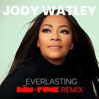 Thumbnail for the Jody Watley - EVERLASTING (DāM-FunK REMIX) link, provided by host site