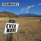 Thumbnail for the Grandaddy - Evermore link, provided by host site