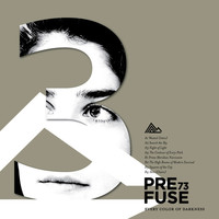 Thumbnail for the Prefuse 73 - Every Color of Darkness link, provided by host site