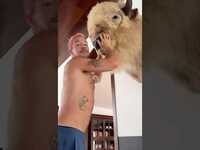 Thumbnail for the Diplo - every morning I wake up at 7am and kiss my buffalos nose before I run 5k. also it’s my bday tomorrow link, provided by host site