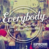 Thumbnail for the Shai T - Everybody link, provided by host site