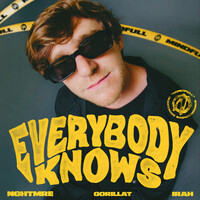 Thumbnail for the NGHTMRE - Everybody Knows link, provided by host site