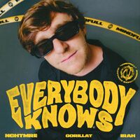 Thumbnail for the NGHTMRE - Everybody Knows link, provided by host site