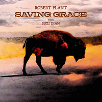 Thumbnail for the Robert Plant - Everybody's Song link, provided by host site