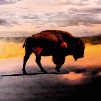 Thumbnail for the Robert Plant - Everybody's Song link, provided by host site
