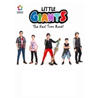 Image of Little Giants linking to their artist page due to link from them being at the top of the main table on this page