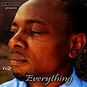 Thumbnail for the IQ - Everything link, provided by host site