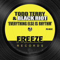 Thumbnail for the Todd Terry - Everything Else is Rhythm link, provided by host site