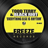 Thumbnail for the Todd Terry - Everything Else is Rhythm link, provided by host site
