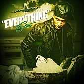Thumbnail for the Stax - Everything link, provided by host site