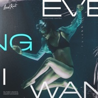 Thumbnail for the Blinded Hearts - Everything I Wanted link, provided by host site