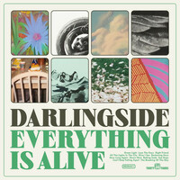 Thumbnail for the Darlingside - Everything Is Alive link, provided by host site