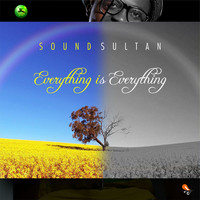 Thumbnail for the Sound Sultan - Everything Is Everything link, provided by host site