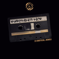 Thumbnail for the 23 Unofficial - Everything's Nice link, provided by host site