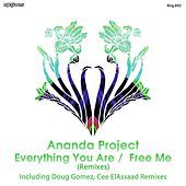 Thumbnail for the Ananda Project - Everything You Are / Free Me (Remixes) link, provided by host site