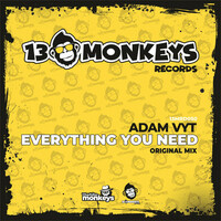 Thumbnail for the Adam Vyt - Everything You Need (Radio Edit) link, provided by host site