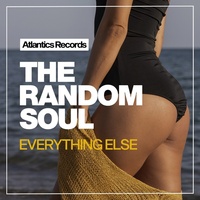 Thumbnail for the Random Soul - Everytning Else link, provided by host site