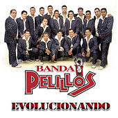 Thumbnail for the Banda Pelillos - Evolucionando link, provided by host site