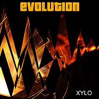 Thumbnail for the XYLØ - Evolution link, provided by host site