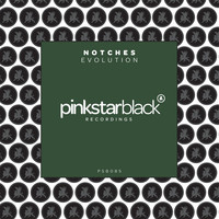 Thumbnail for the Notches - Evolution link, provided by host site