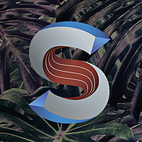 Thumbnail for the Patrick Kunkel - Evolution link, provided by host site
