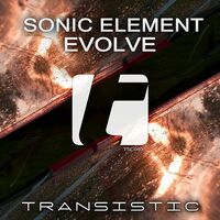 Image of Sonic Element linking to their artist page due to link from them being at the top of the main table on this page