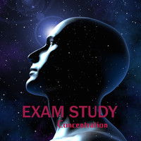 Thumbnail for the Exam Study Music Academy - Exam Study Concentration - Study Music & Studying Music to Increase Brain Power, Focus and Concentration link, provided by host site