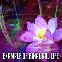 Thumbnail for the Binaural Beats Brain Waves Isochronic Tones Brain Wave Entrainment - Example of Binaural Life link, provided by host site